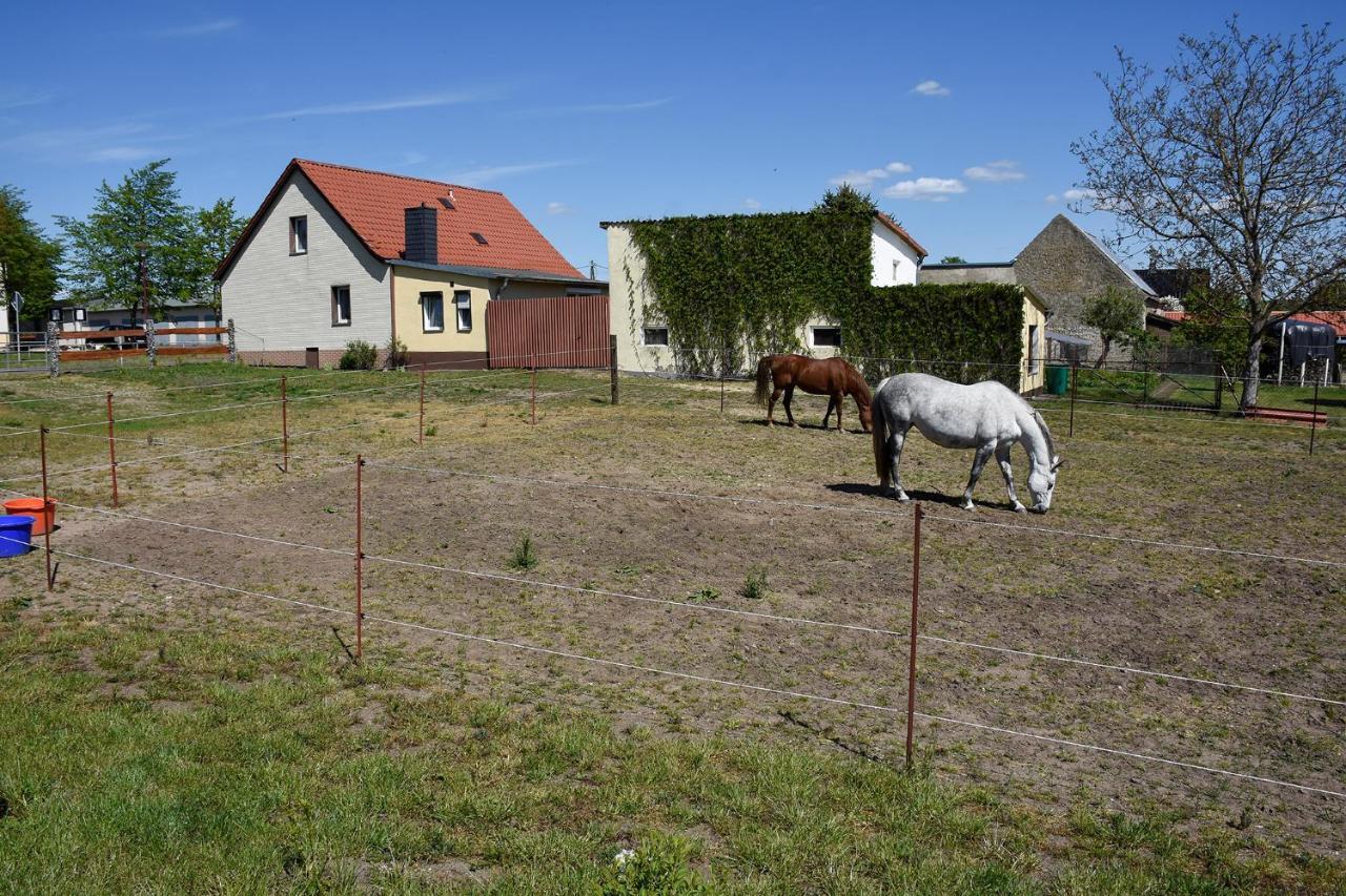 Barrierefreie Ferienwohnung Trueben Bornum 외부 사진
